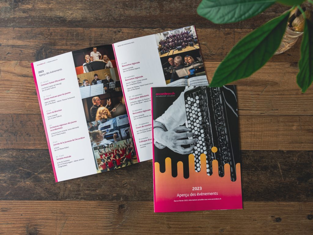 accordeon_RegineIMD_brochure-min